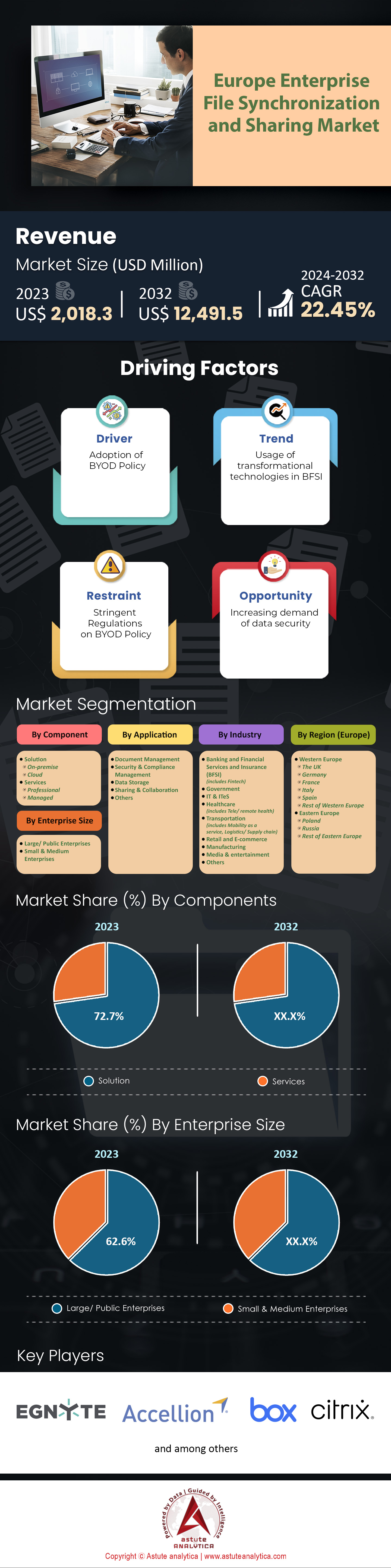 Europe Enterprise File Synchronization and Sharing (EFSS) Market